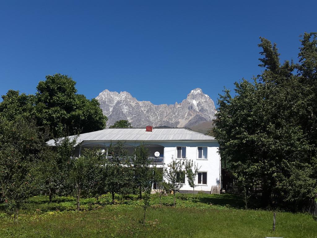 Guest House Vivaushba Bagvdanari Exterior foto