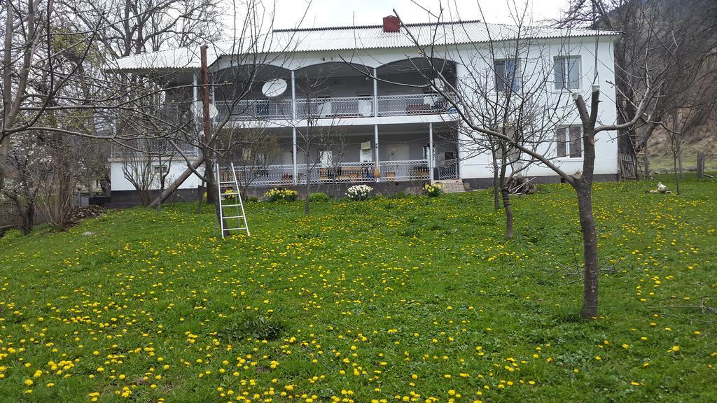 Guest House Vivaushba Bagvdanari Exterior foto